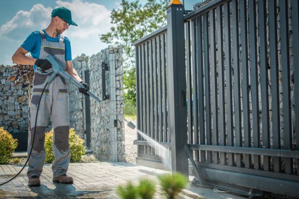 Best Animal Enclosure Cleaning  in Cedar Springs, MI